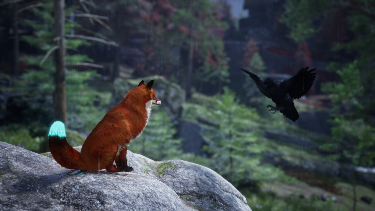 PS5 Spirit of the North 2 (R1)