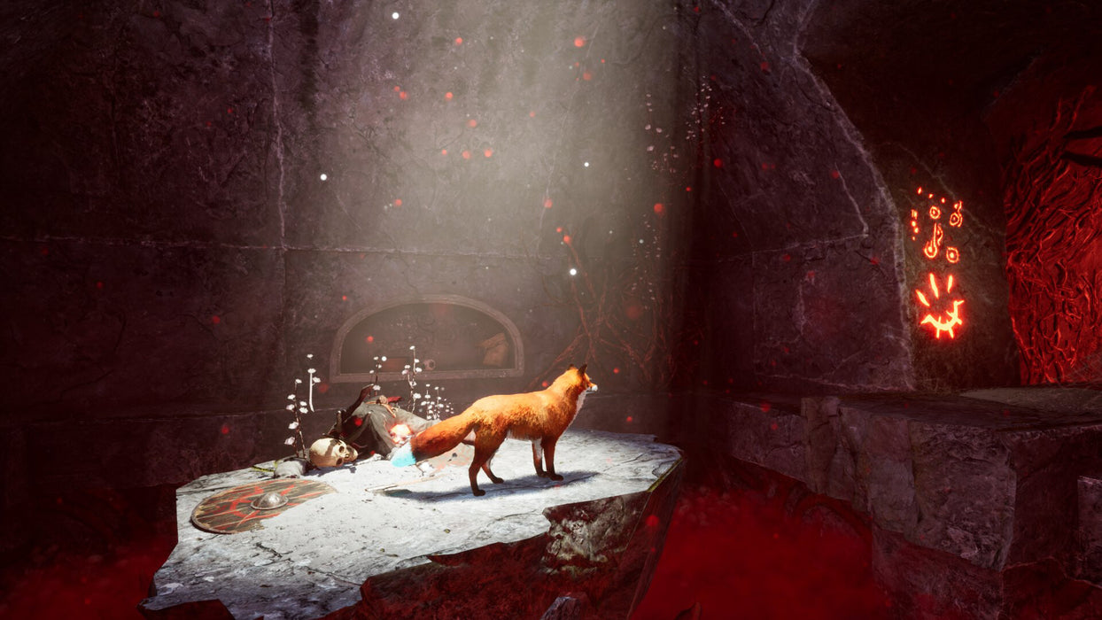 PS5 Spirit of the North 2 (R1)