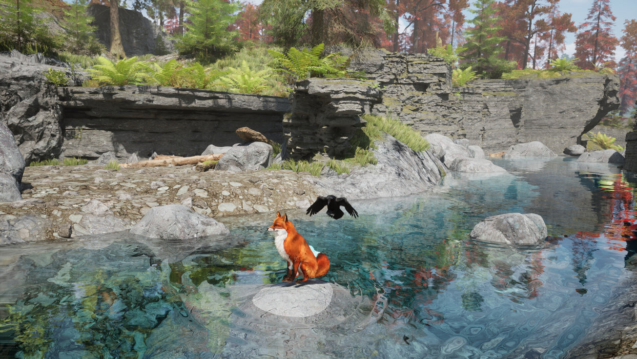 PS5 Spirit of the North 2 (R1)