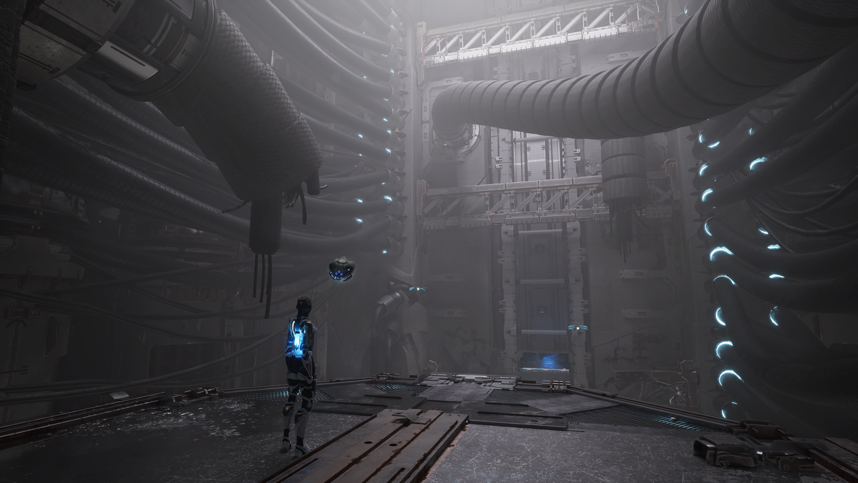 PS5 Steel Seed (R2)