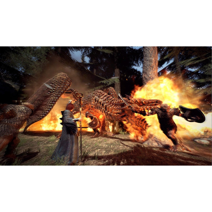 Nintendo Switch Dragon's Dogma: Dark Arisen (US)