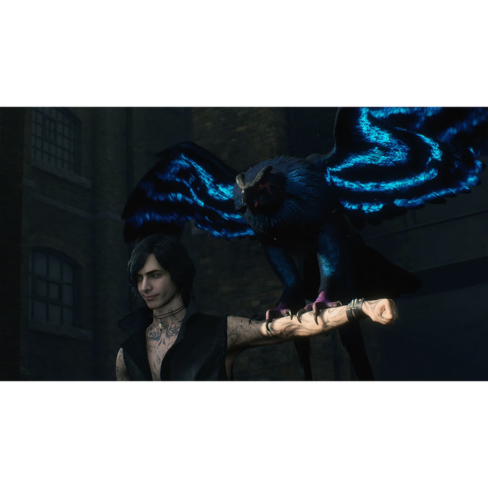 Nintendo Switch 2 Devil May Cry 5 Devil Hunter Edition - Game-Key-Card (ASI)
