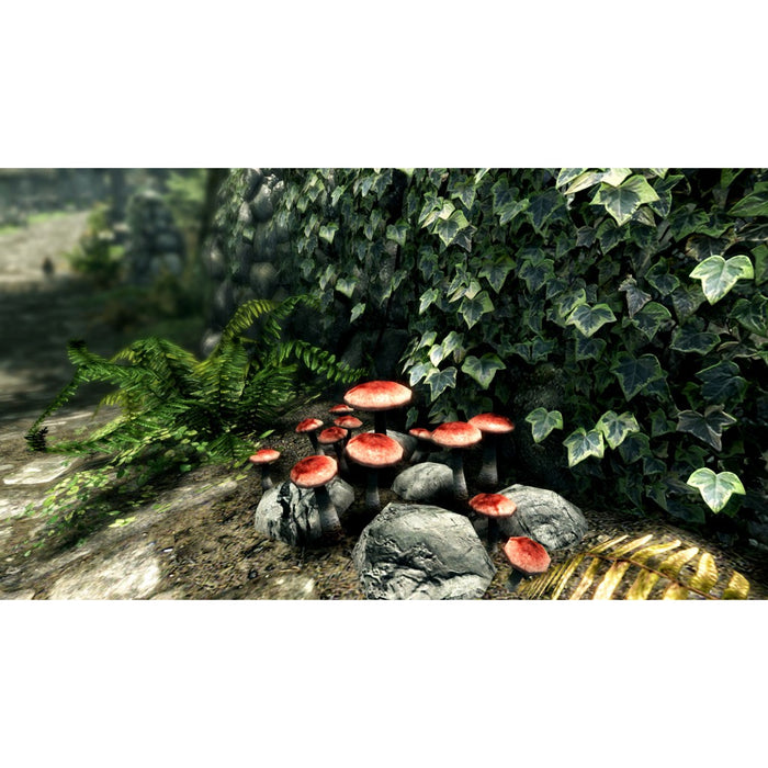 Xbox One The Elder Scrolls 5 Skyrim Special Edition