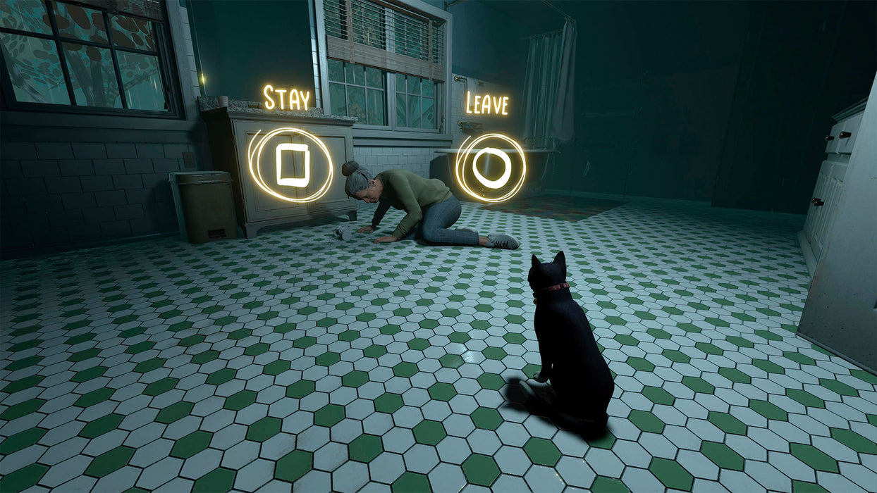 PS5 Copycat (R2)