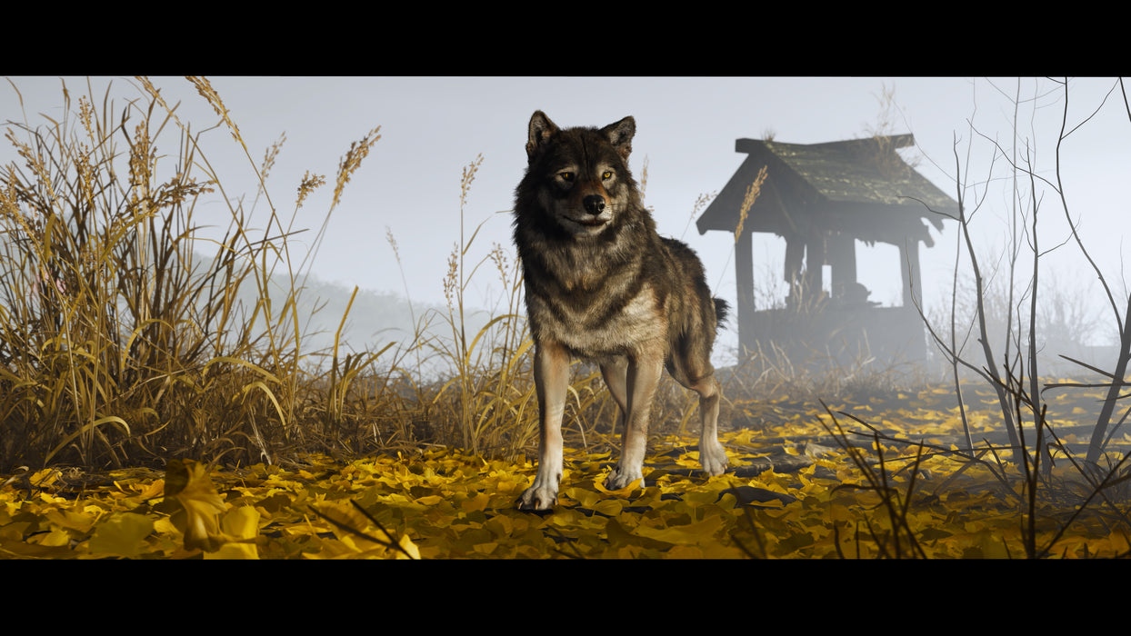 [PRE-ORDER] PS5 Ghost of Yotei (R3) [Release Date: October 2, 2025 ]