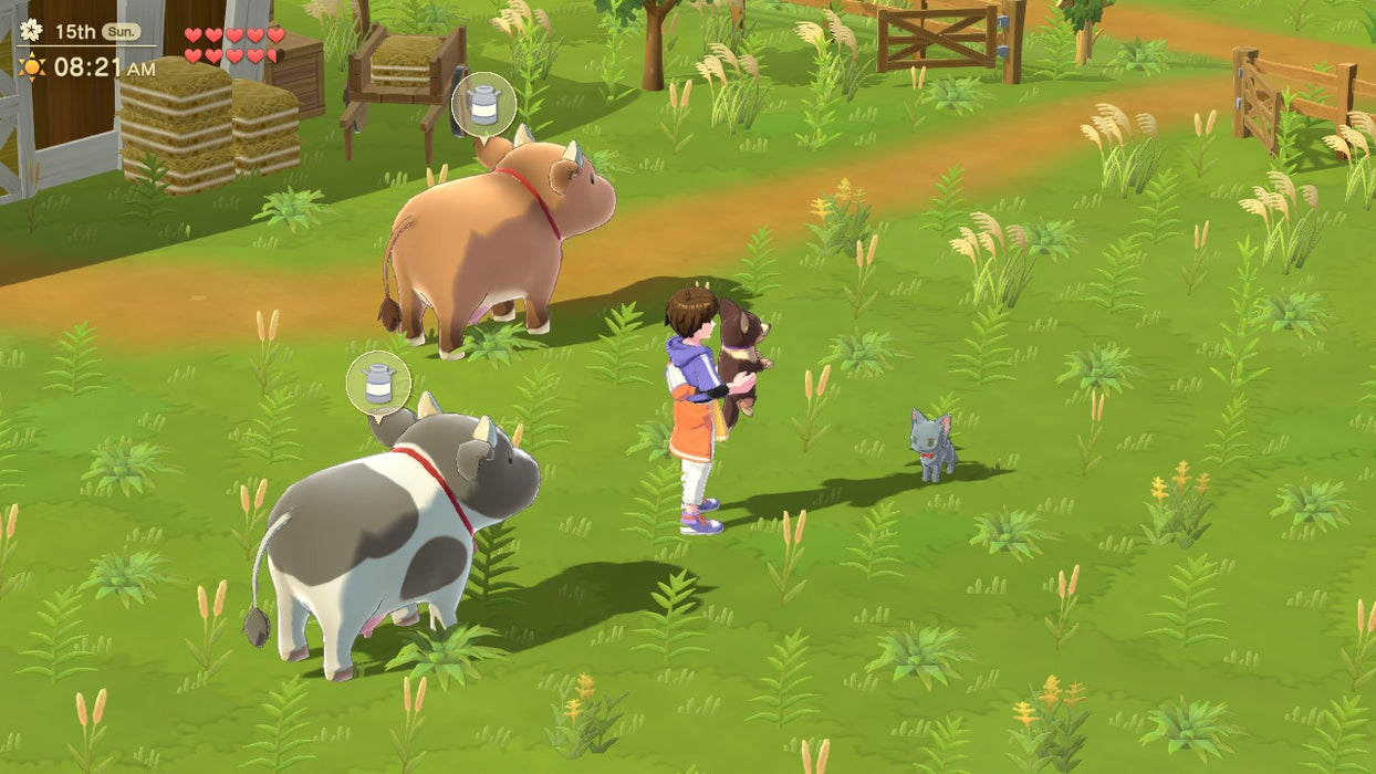 PS5 Harvest Moon Home Sweet Home Special Edition (R3)