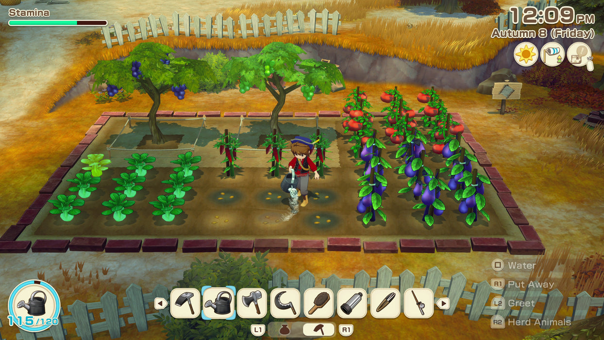 PS5 Story of Seasons Grand Bazaar (R1)
