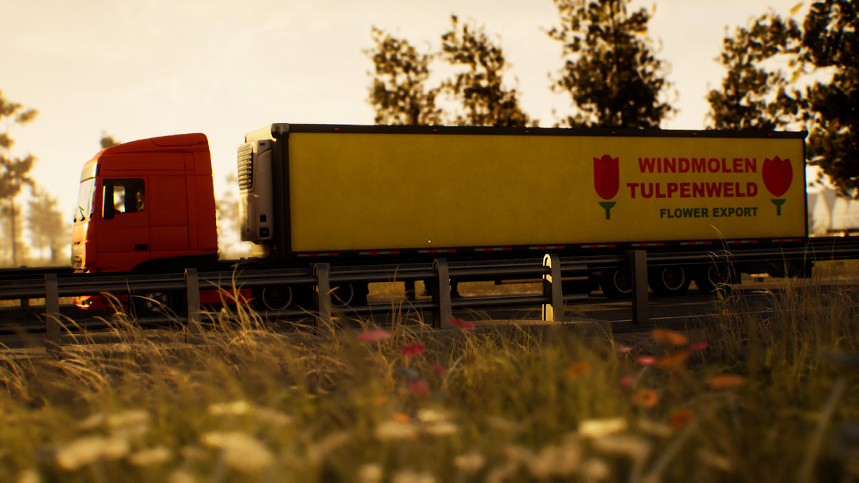 PS5 Truck Driver The Dutch Connection (R2)