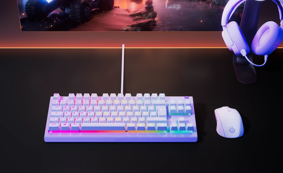 SteelSeries Wired Apex 3 TKL Gaming Keyboard