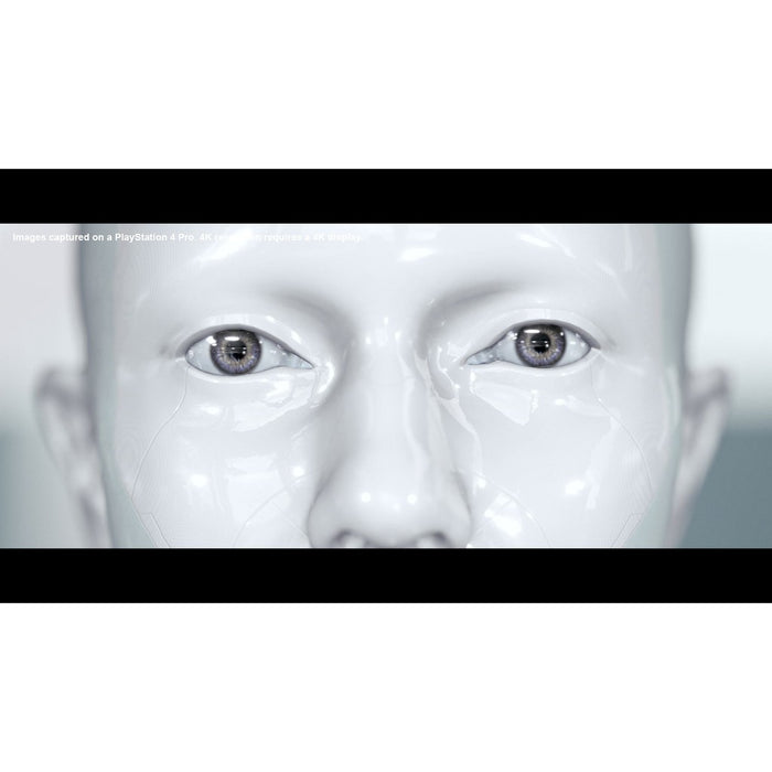 PS4 Detroit Become Human (R3)