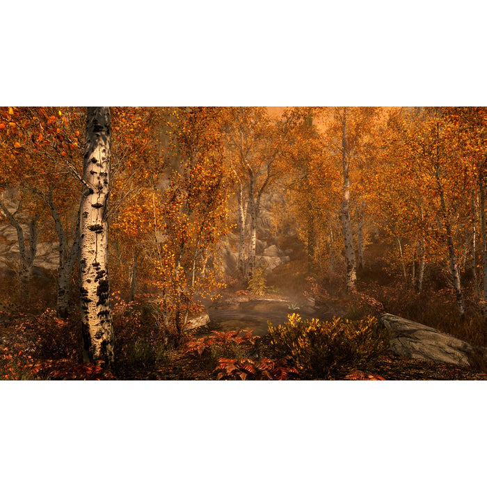 Xbox One The Elder Scrolls 5 Skyrim Special Edition