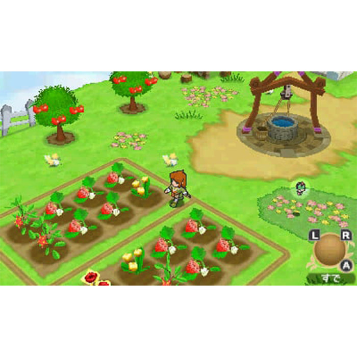 Nintendo 3DS Return to Popolocrois A Story of Seasons Fairy Tale (US)