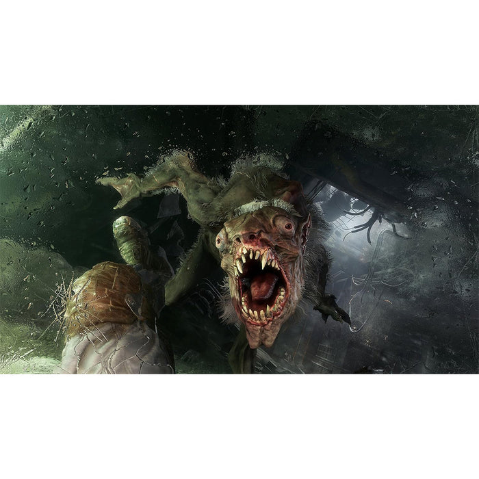 PS4 Metro Exodus (R3)