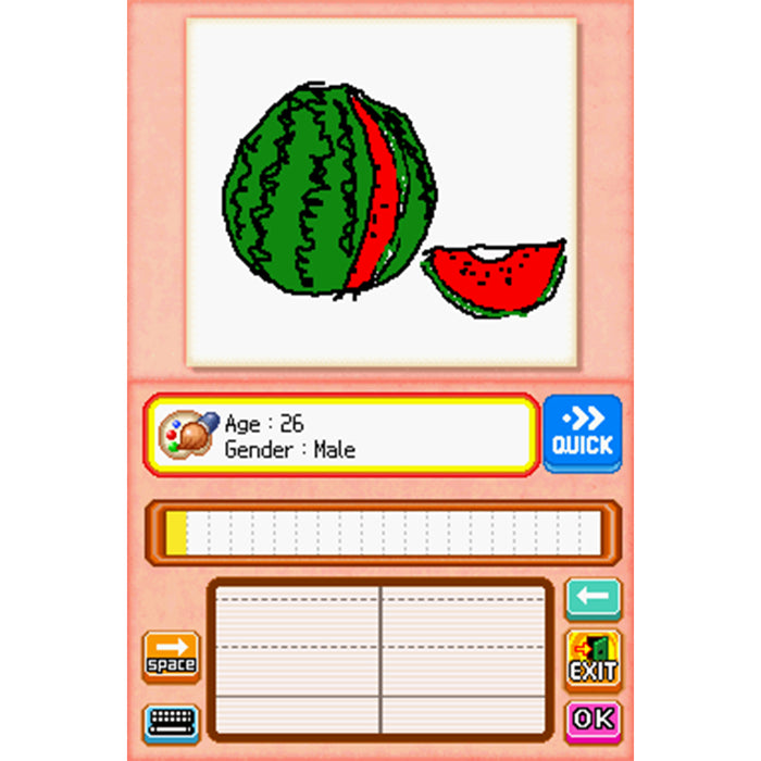 Nintendo DS Picto Image (US)