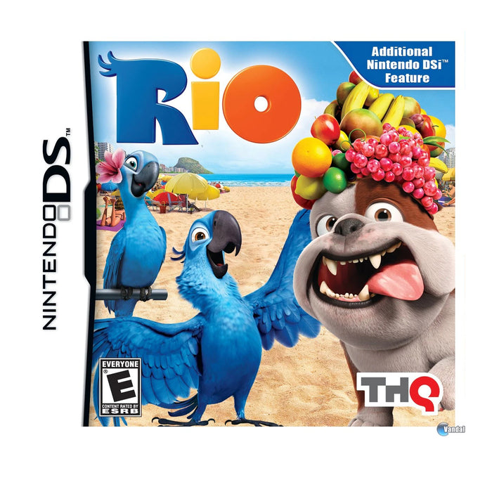 Nintendo DS Rio (US)