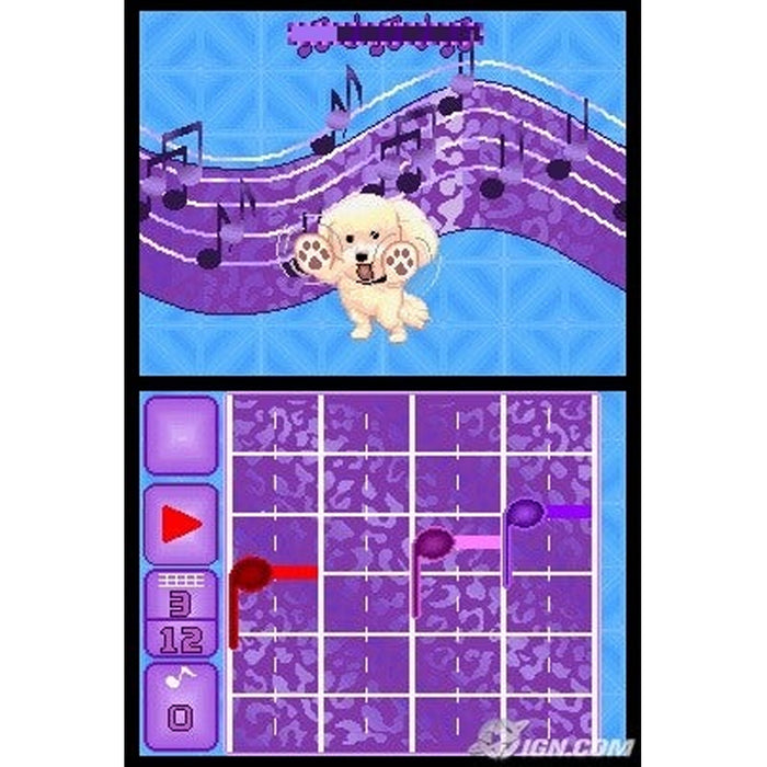 Nintendo DS The Cheetah Girls: Pop Star Sensations (US)