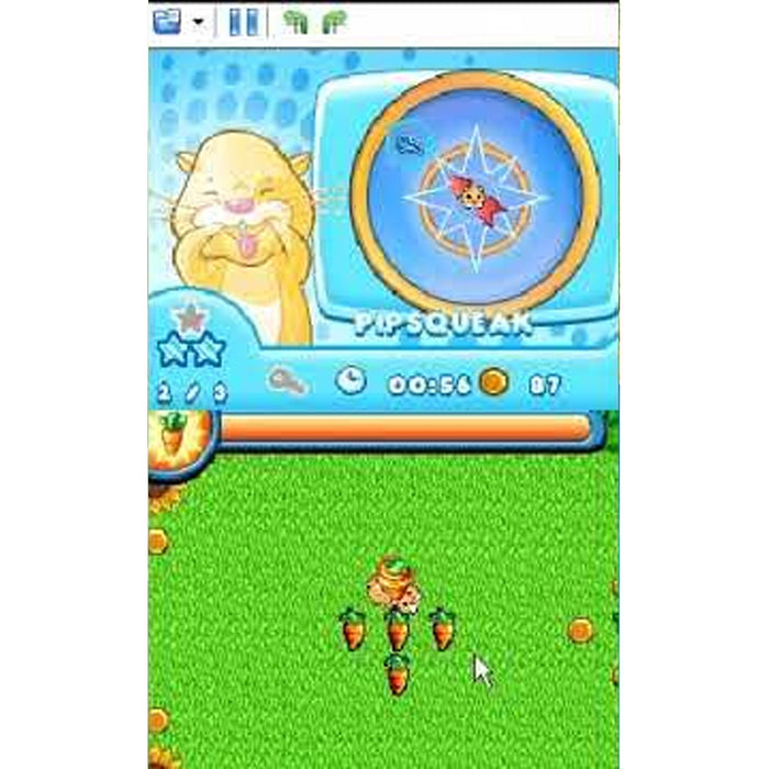 Nintendo DS Zhuzhu Pets (US)