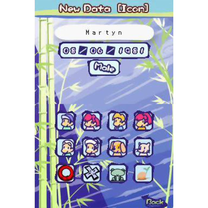 Nintendo DS Quick Spot (US)