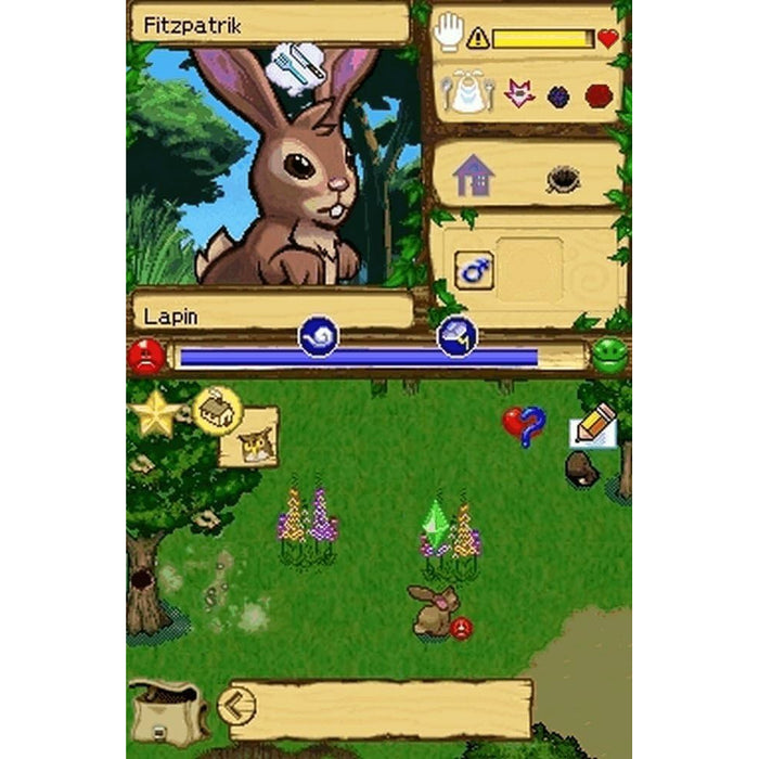 Nintendo DS Sim Animals Africa (US)