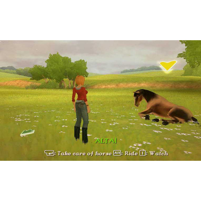 PSP Imagine Champion Rider (EU)