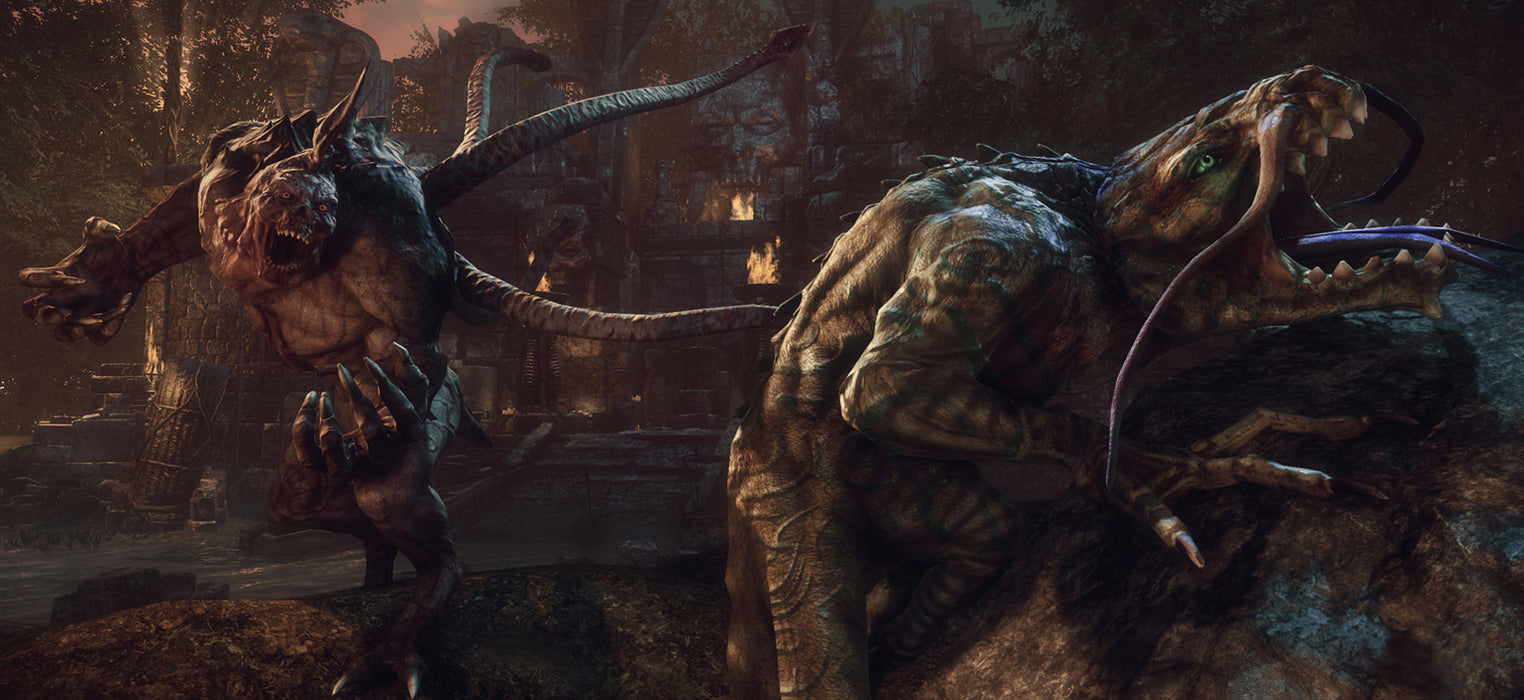 PS4 Lichdom Battlemage (R1)