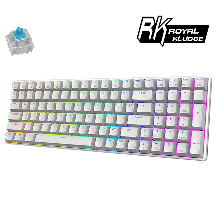 Royal Kludge RK RK100 RGB Mechanical Keyboard Hot Swappable