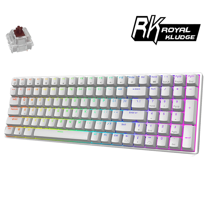 Royal Kludge RK RK100 RGB Mechanical Keyboard Hot Swappable