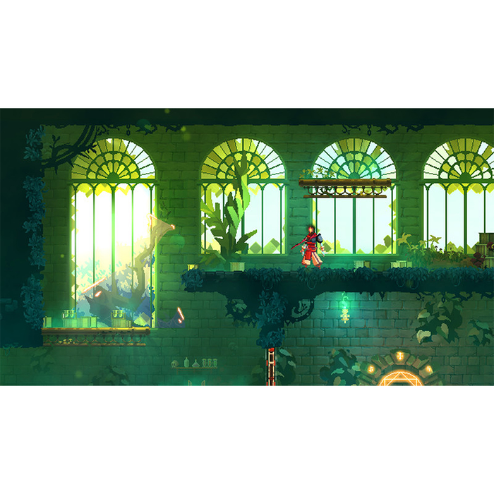 PS4 Dead Cells  Return to Castlevania Edition (R1)