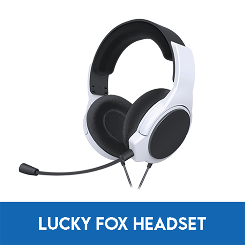 Lucky Fox PS5 Master Pack