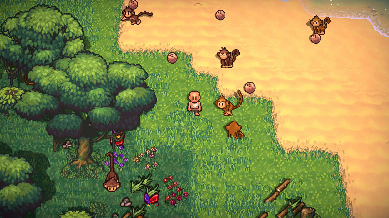 PS4 The Survivalists (R2)