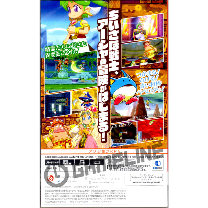 Nintendo Switch Wonder Boy Asha in Monster World (ASIA)