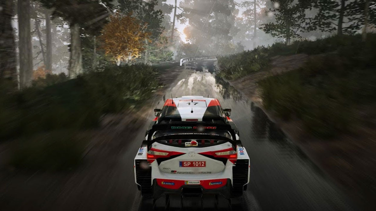 PS4 WRC 10 (R2)