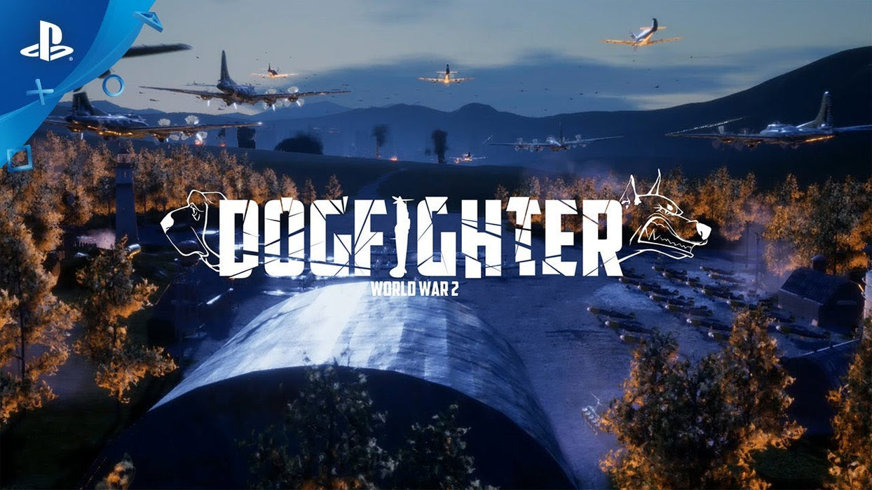 PS4 DogFighter WW2 (R3)