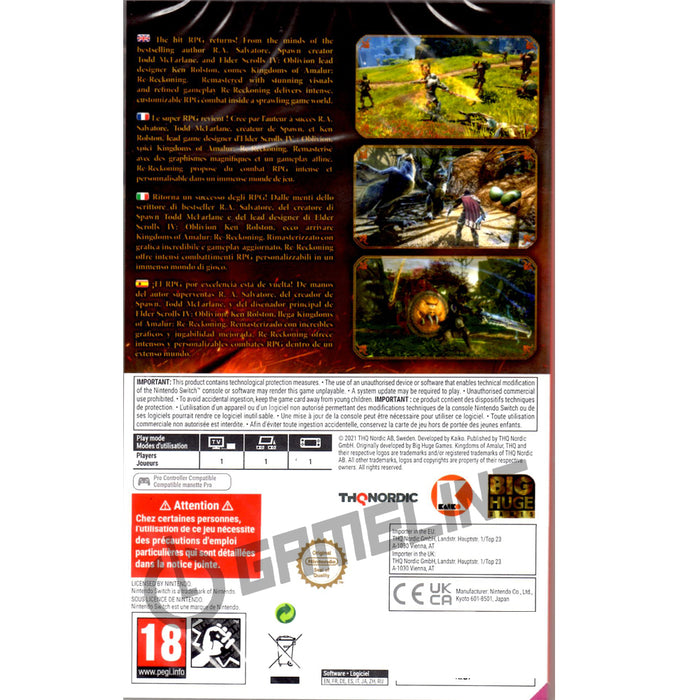 Nintendo Switch Kingdoms of Amalur Re-Reckoning (EU)