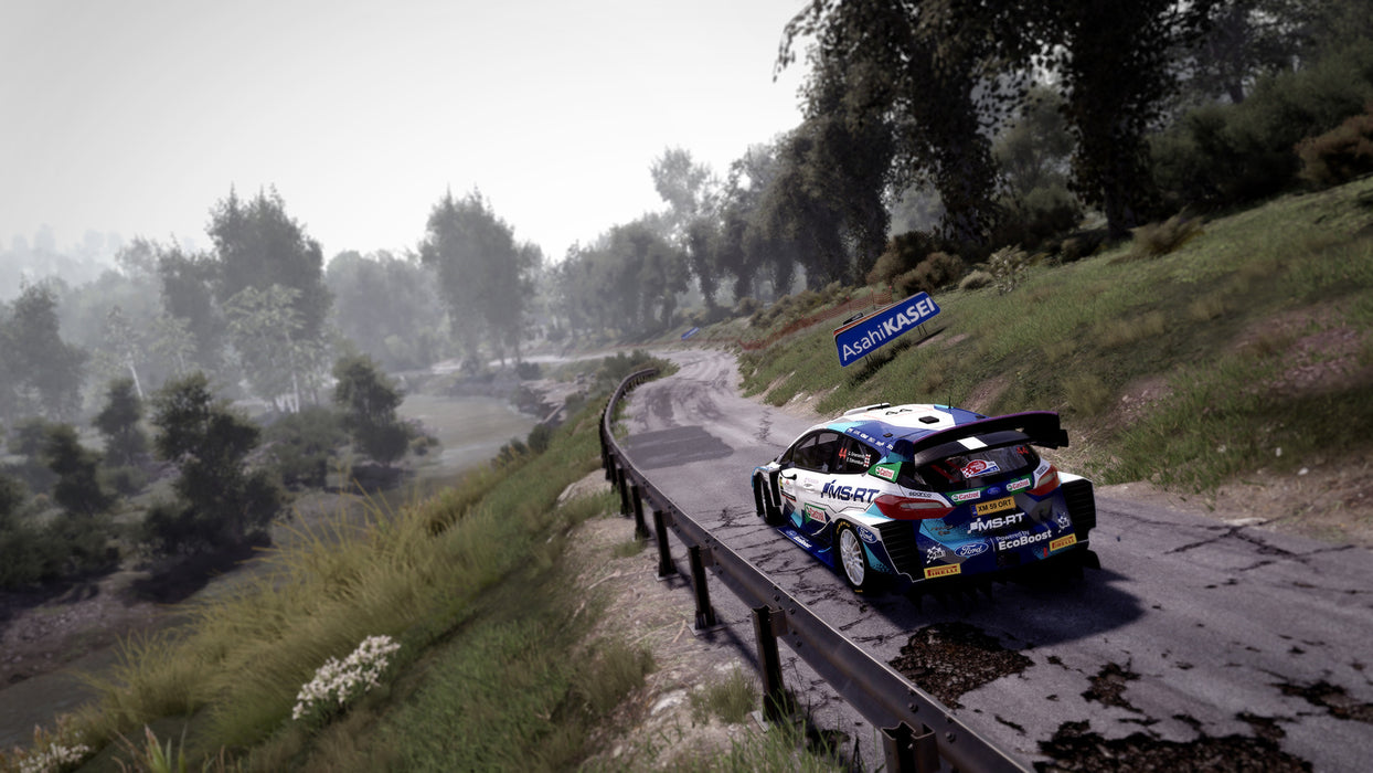 PS4 WRC 10 (R2)