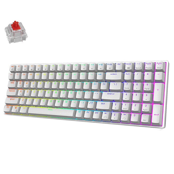 Royal Kludge RK RK100 RGB Mechanical Keyboard Hot Swappable